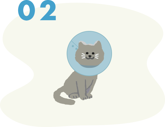 各種手術に対応