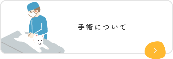 手術について