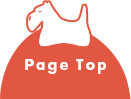 pagetop